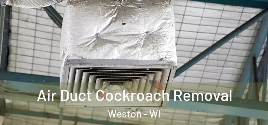  Air Duct Cockroach Removal Weston - WI
