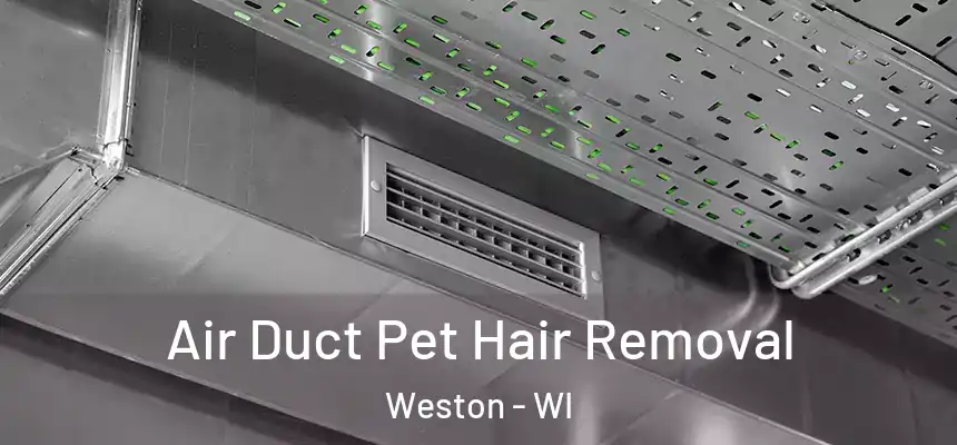  Air Duct Pet Hair Removal Weston - WI