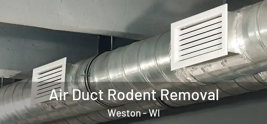  Air Duct Rodent Removal Weston - WI
