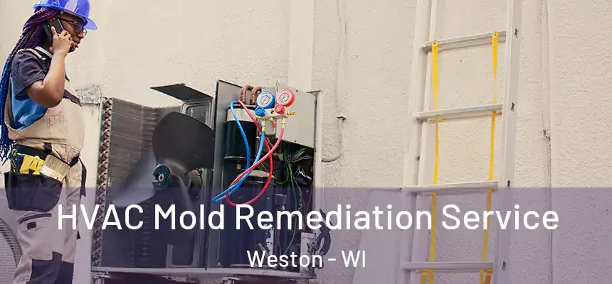  HVAC Mold Remediation Service Weston - WI