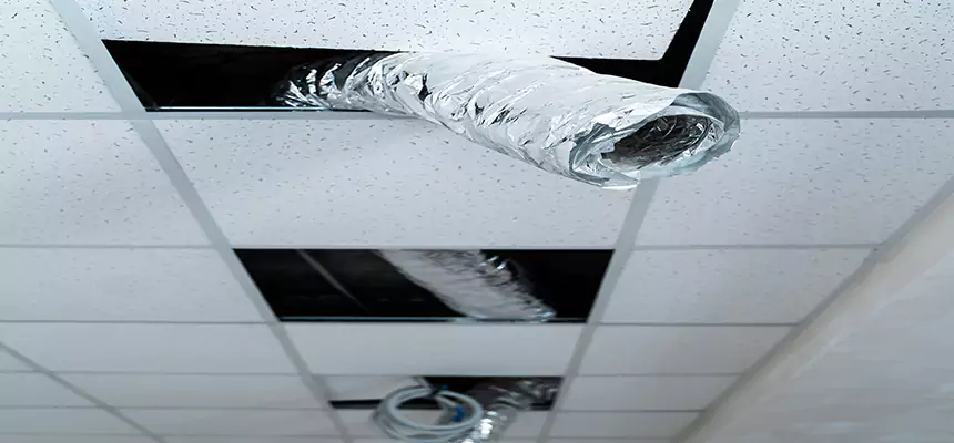 Affordable HVAC Sanitizing After Pest Removal in Weston