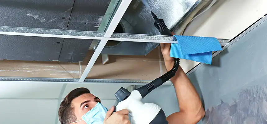 Our Air Duct Rodent Removal Services in Weston, WI