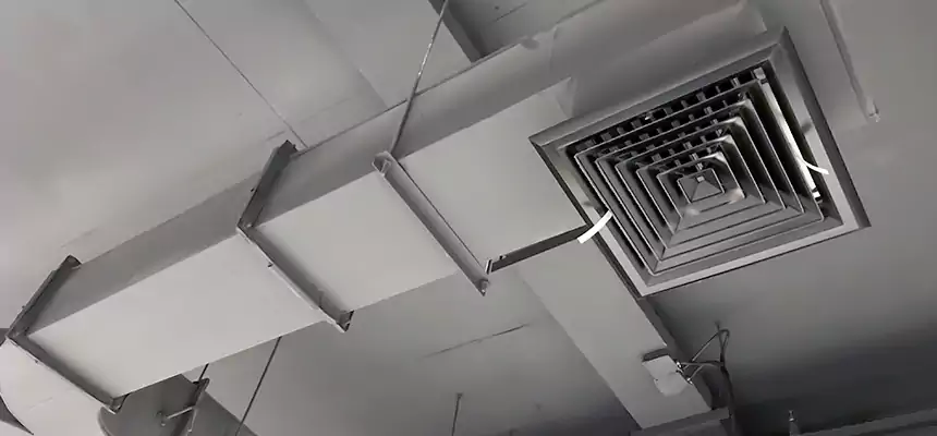 Restorative Allergy Relief Vent Cleaning – Coil, Blower & Housing Detail in Weston