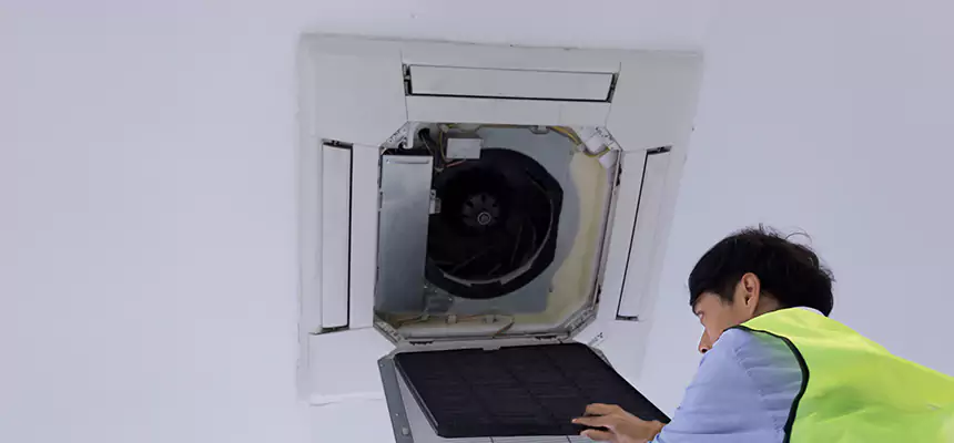 Our Dryer Vent Sanitization Service Services in Weston, WI