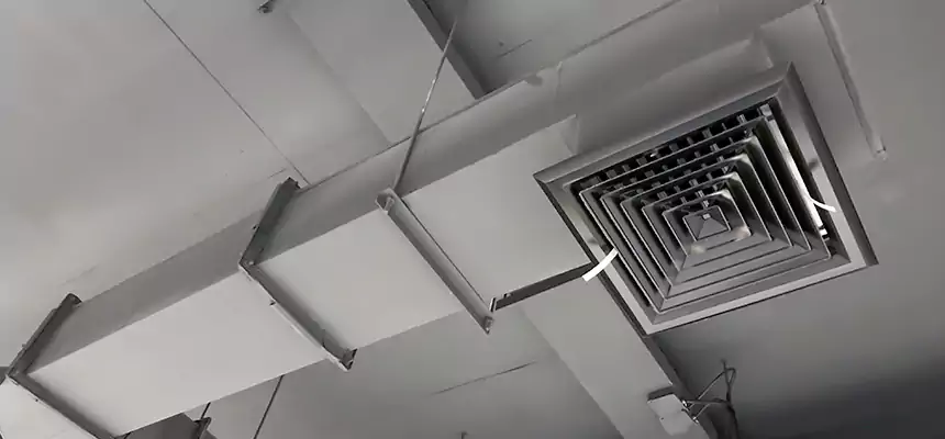 Our Rodent Droppings In Vents Services in Weston, WI