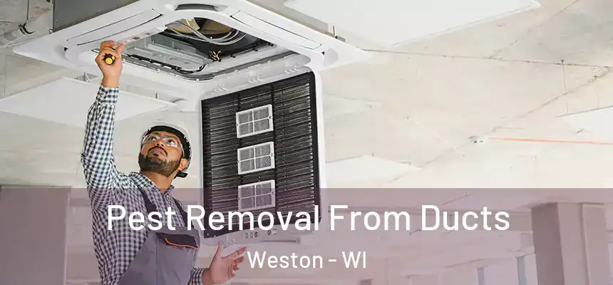  Pest Removal From Ducts Weston - WI