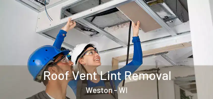  Roof Vent Lint Removal Weston - WI