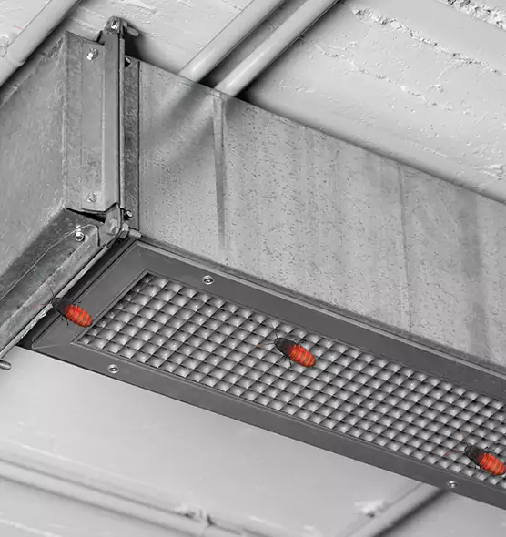 About Air Duct Cockroach Removal in Weston, WI