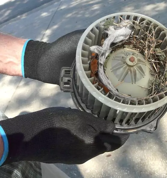 About Air Duct Mice Removal in Weston, WI