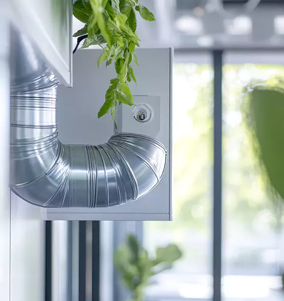 Professional Eco-Safe Dryer Vent Cleaning in Weston, WI