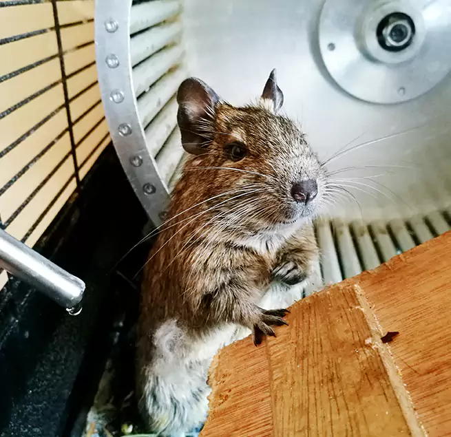 Why Homeowners & Businesses Trust Us Weston, WI