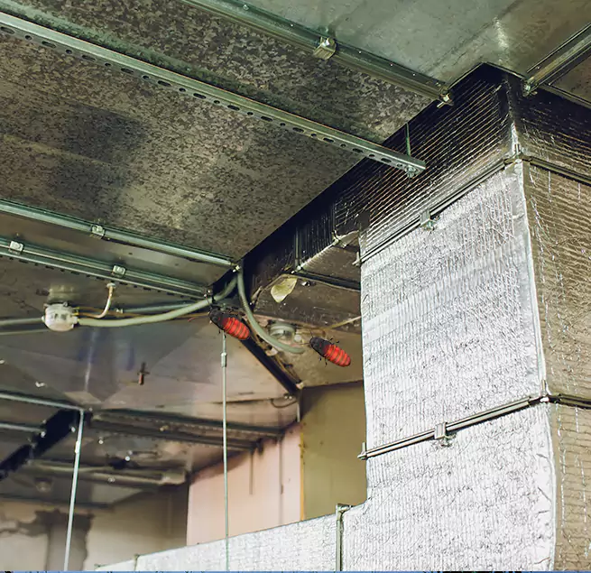 Why Homeowners & Businesses Trust Us Weston, WI?